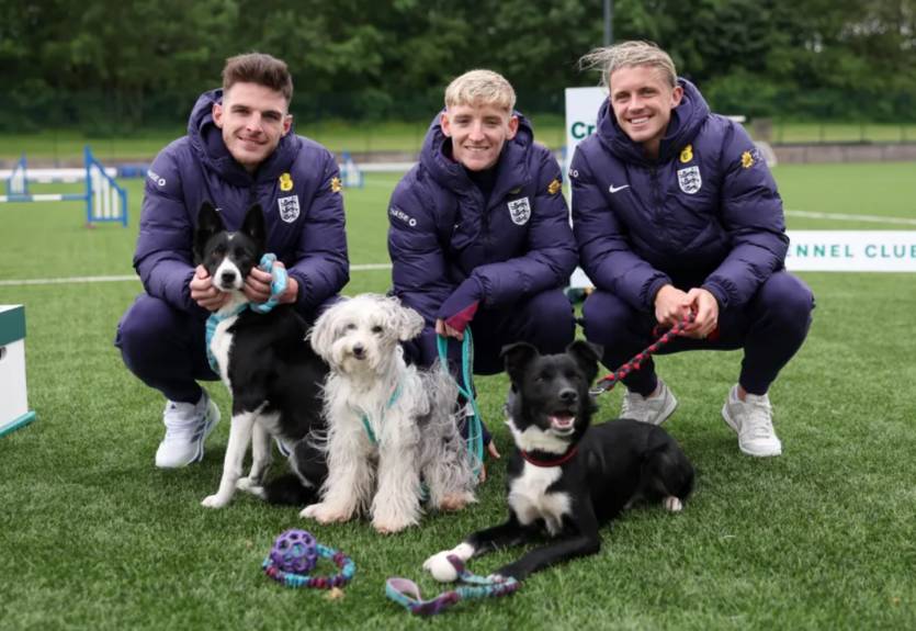 Игроки сборной Англии устроили соревнования для собак во время тренировки перед Евро-2024