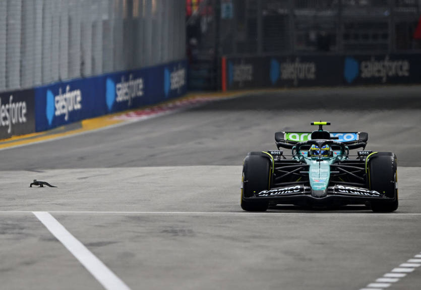 Практику Гран-прі Сінгапуру довелося призупинити через велику ящірку Практику Гран-прі Сінгапуру довелося призупинити через велику ящірку